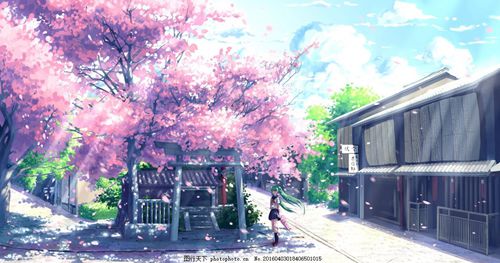 樱花动漫风景图片