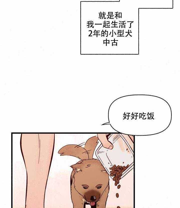 《主人的主人》漫画韩漫下拉式(全文在线阅读)