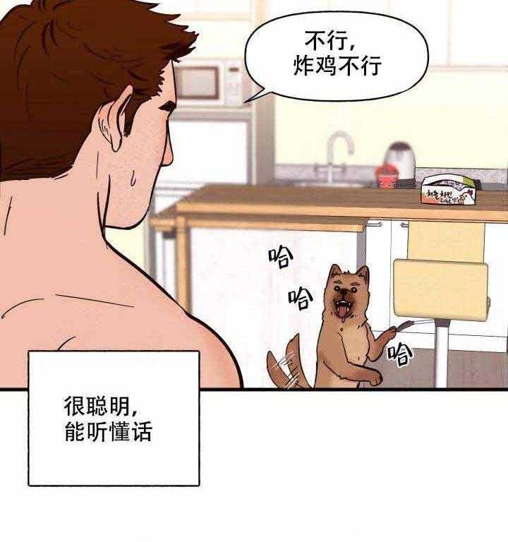 《主人的主人》漫画韩漫下拉式(全文在线阅读)