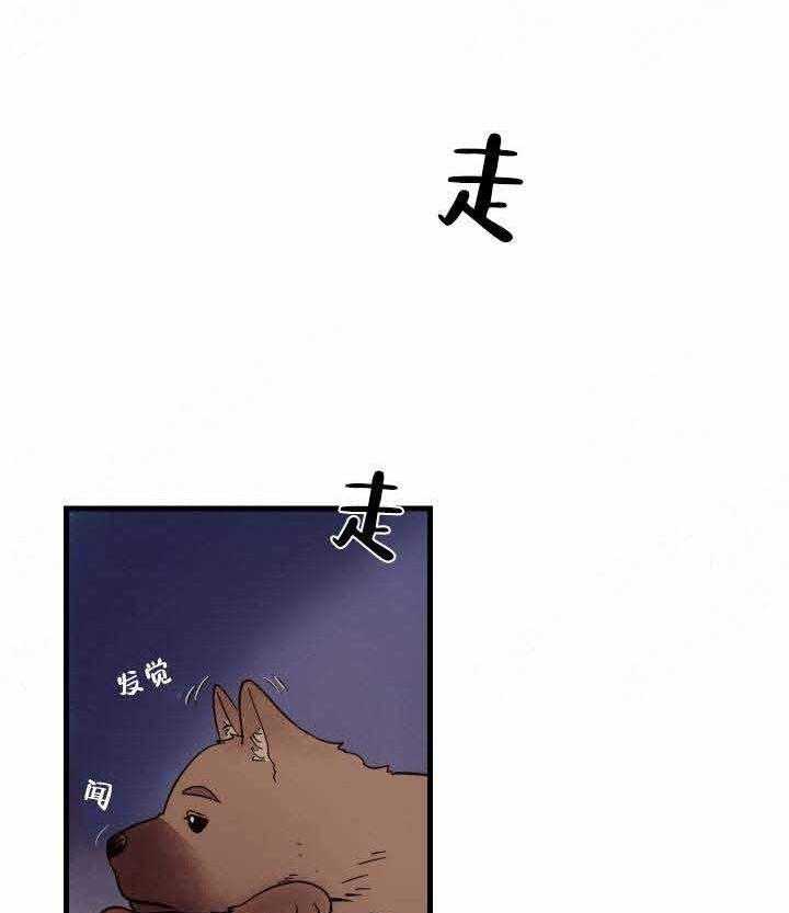 《主人的主人》漫画韩漫下拉式(全文在线阅读)