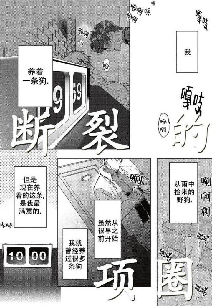 《断裂的项圈》漫画完整版 碎裂的项圈全文在线阅读