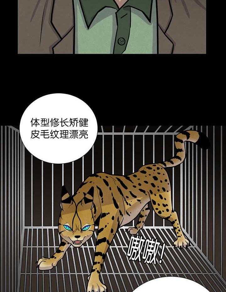 旷野之息漫画第一季&第二季完整版(2季)免费在线阅读