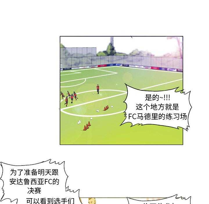 《绿茵传奇—欧洲篇漫画》(完整版) — 全文在线阅读