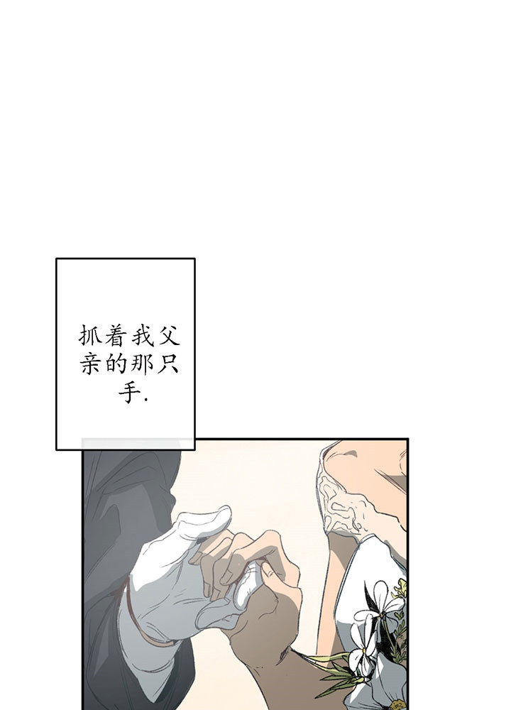 《同情的形式漫画》无删减第一季 第二季漫画免费阅读