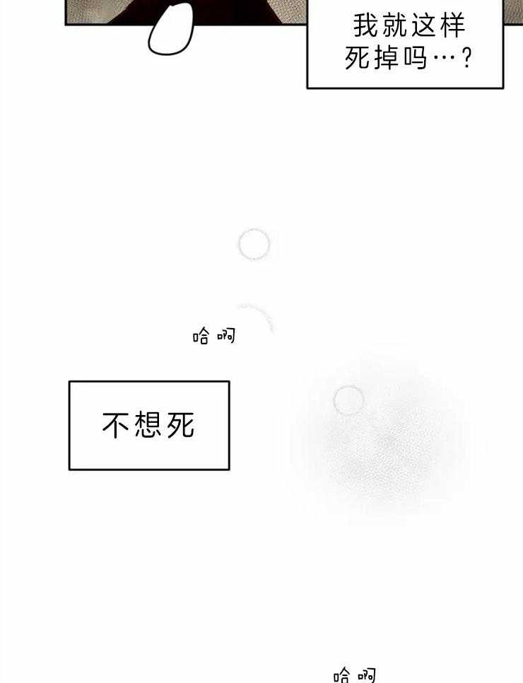 完整版漫画《吸血鬼之吻》韩漫吸血鬼之吻免费阅读