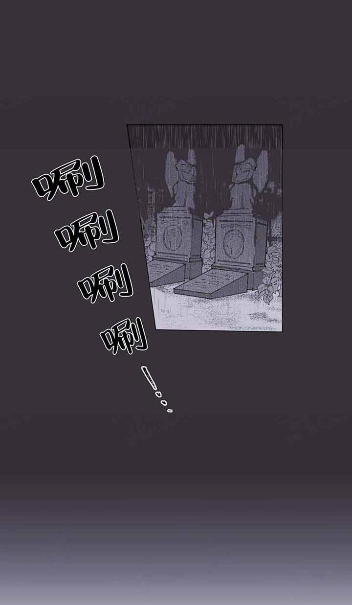 《宠爱主人》漫画&完整版 全文免费阅读