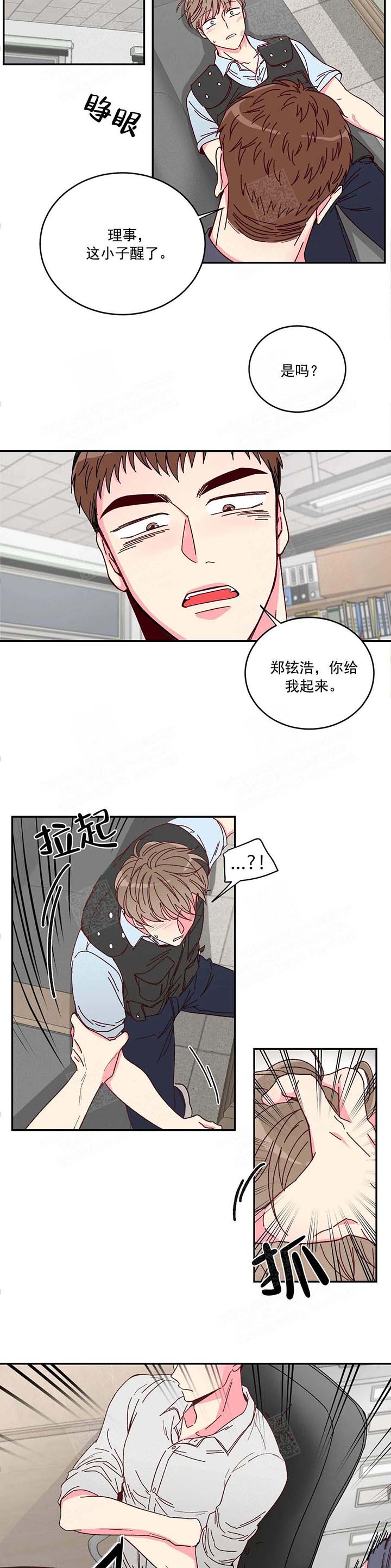 《理事的甜点》漫画&完整版（全文在线阅读）