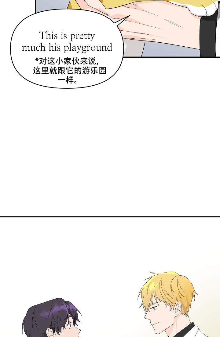 《老虎花》完整版漫画 – 全文免费阅读