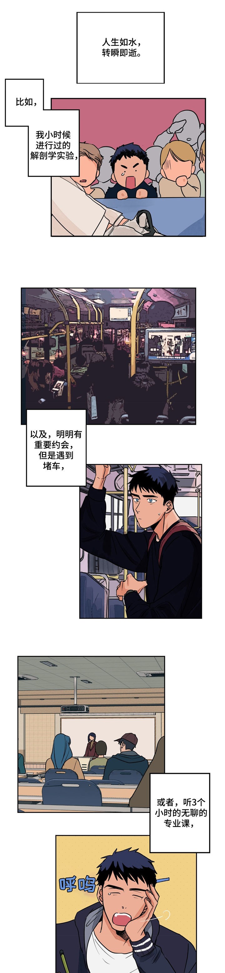 韩国漫画《我的医生》全集无修 在线阅读全文