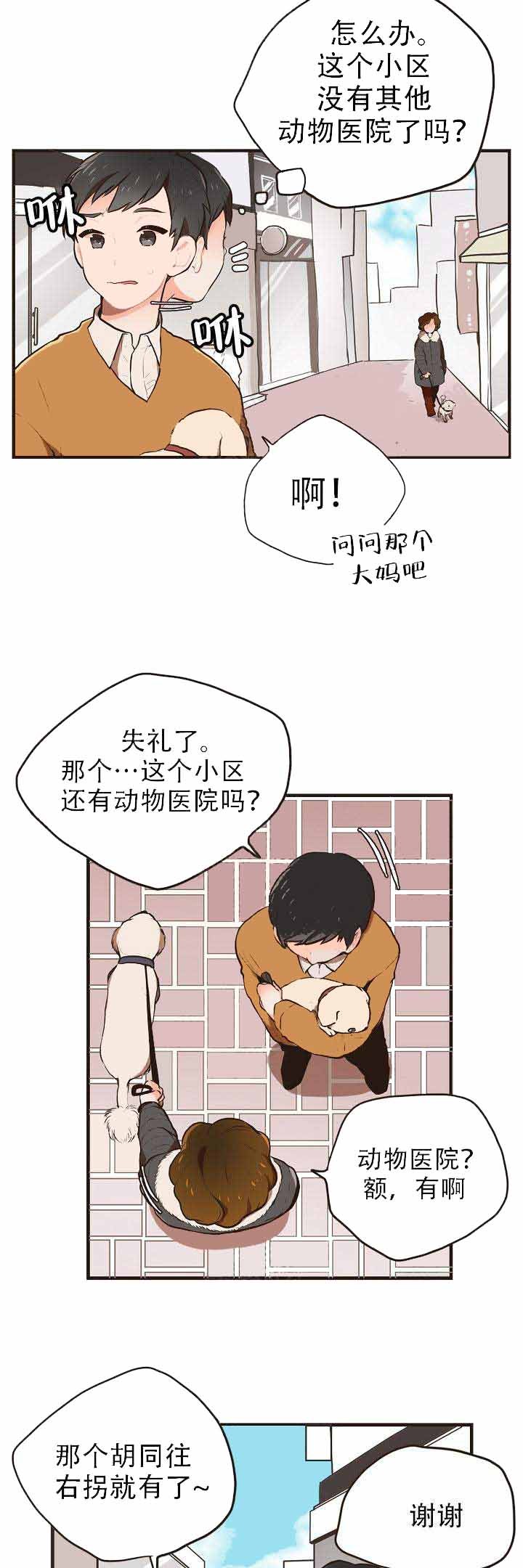 《汪汪喵喵漫画》——(全文免费在线阅读)