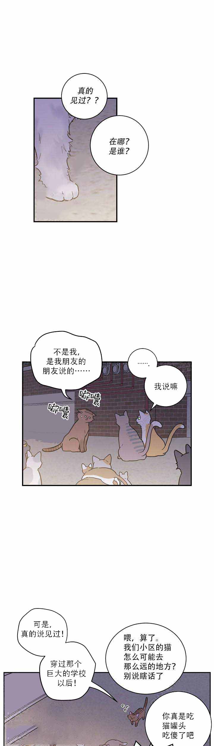 《我唯一的猫猫漫画》——(全文免费在线阅读)