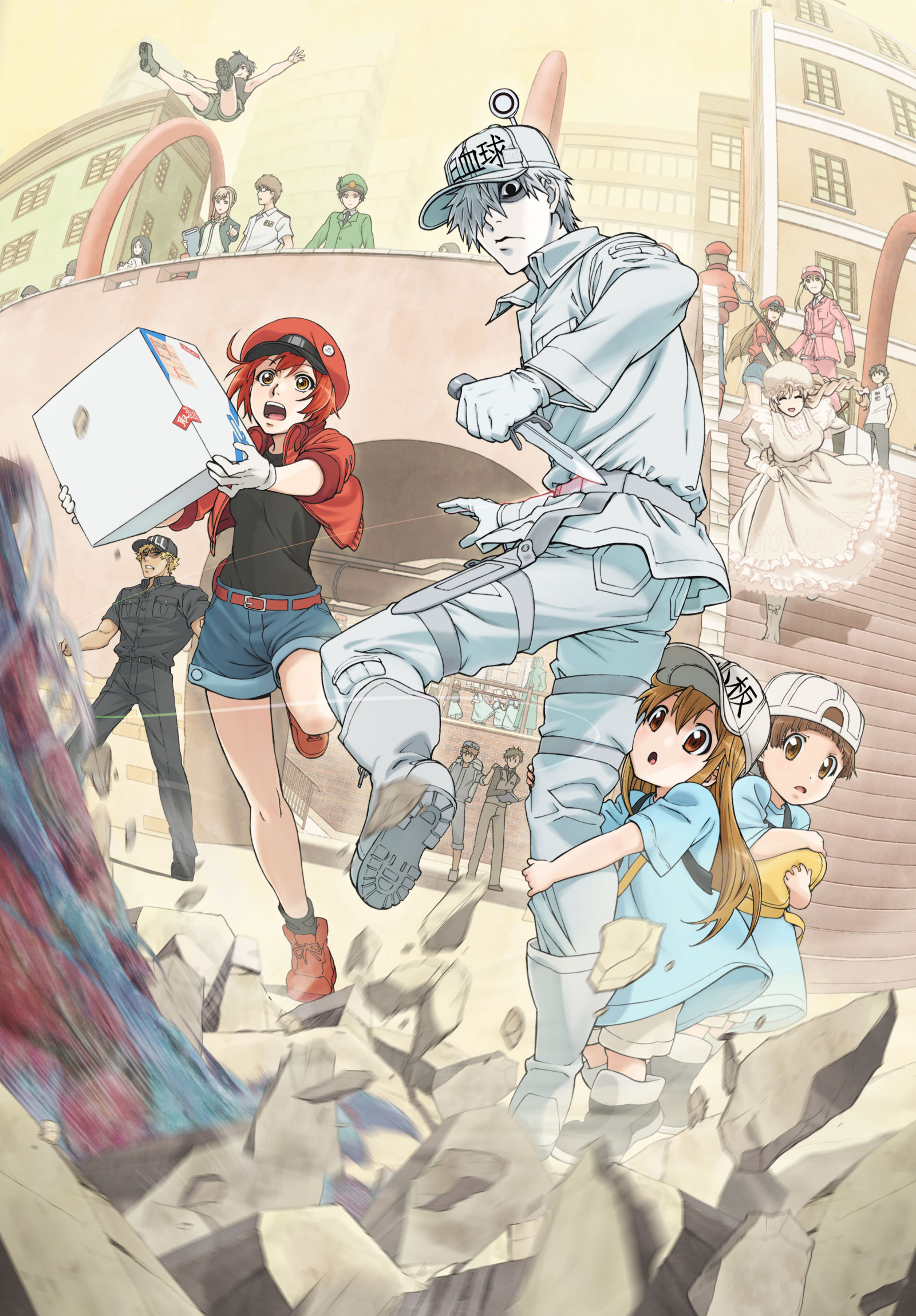 [工作細胞][Hataraku Saibou][2018][01][480P][AVC][CHN][BIG5][[MKV][ANIMAX](中配-繁中)