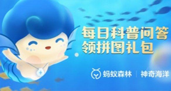 支付宝会进行夏眠的海洋动物是什么 蚂蚁庄园6月9日答案更新