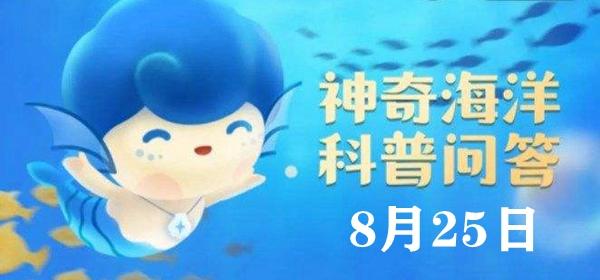 神奇海洋今日答案8.25-被人们称为“海兔”的海洋生物是