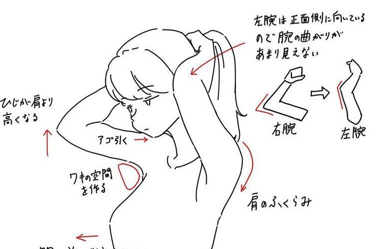 日本画师ふるいけゆうじ(start_yuji)的推特图片包[74P]