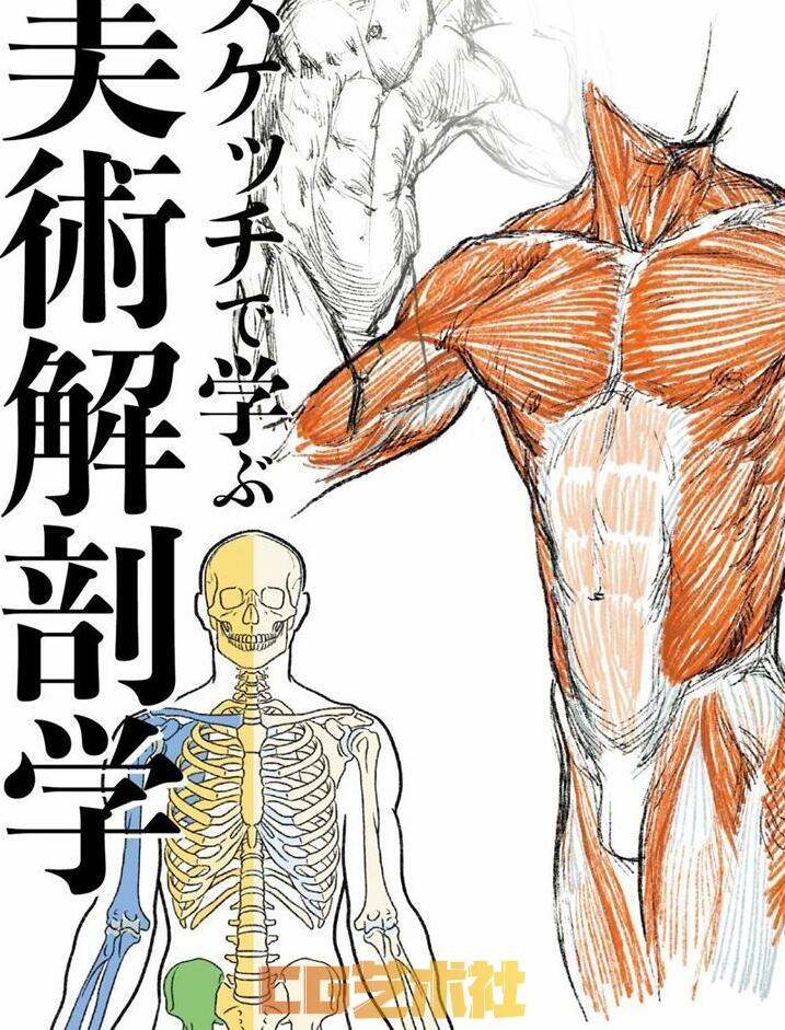[绘画教程][日文]素描中的美术解剖学[98P]