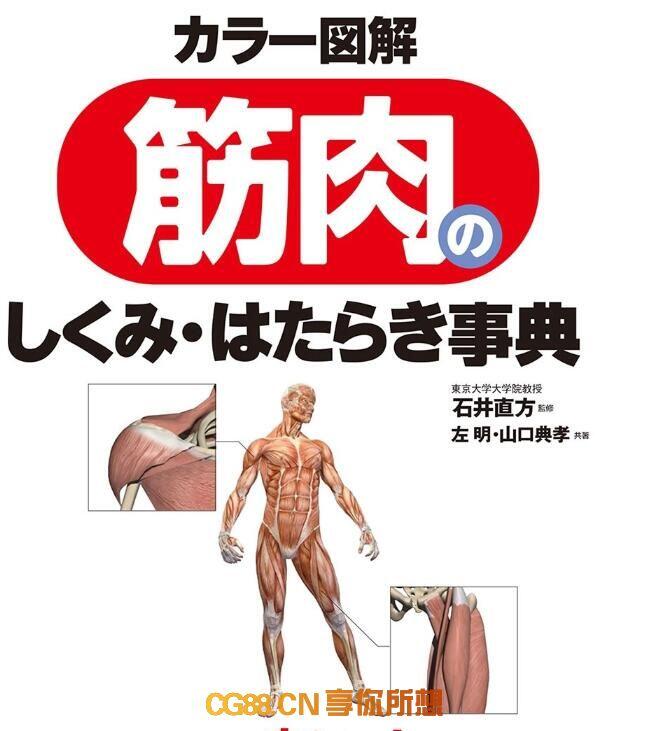 【PDF】Colored Illustrations of Anatomy Muscle医学美术必学课