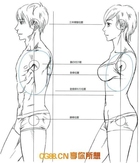 【PDF】男-PP画法How to draw men’s hip