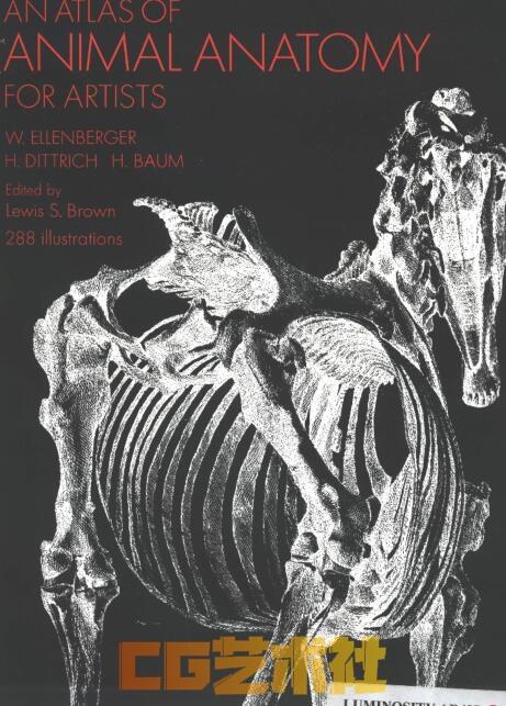 【艺术解刨】艺用动物解剖图谱（An.Atlas.of.Animal.Anatomy.for.Artists)