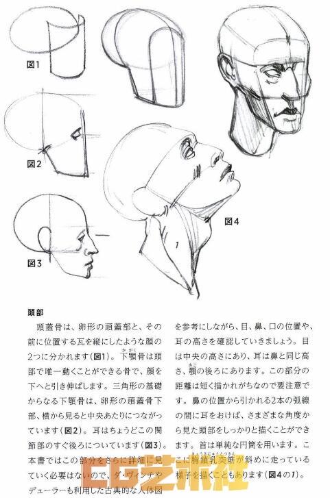 [书籍教程] 摩尔福人体素描系列-用体块与圆形的描绘表达方式