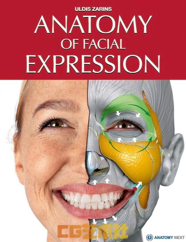 [设定画集] 全彩超高清【艺用表情结构】pdf 电子书 中文版 英文版 Anatomy of Facial Expression