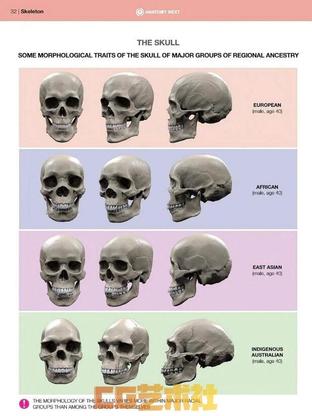 [设定画集] 全彩超高清【艺用表情结构】pdf 电子书 中文版 英文版 Anatomy of Facial Expression