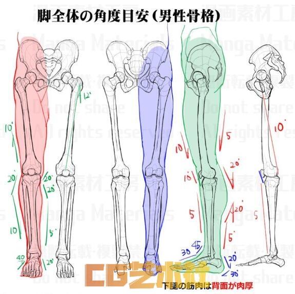 [设定画集] 人体结构线稿草图，线稿，精品收藏2183张 680MB