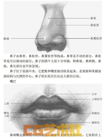 素描人物头像经典教学 清晰版 943P