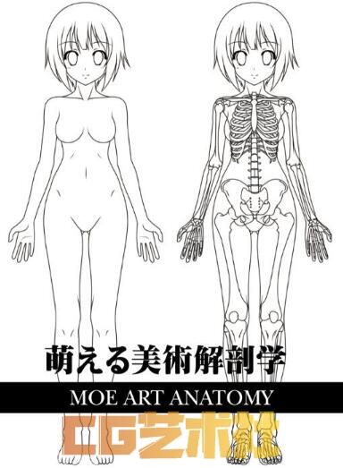 萌少女美术解剖学漫画教程107P 【猎奇慎入1080P】