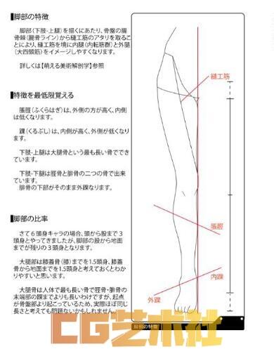 萌少女美术解剖学漫画教程107P 【猎奇慎入1080P】