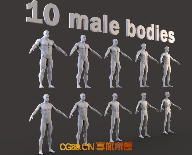 用3D告诉你，男性躯干动态下的肌肉变化丨俄罗斯3D设计师Grigory Rudenko