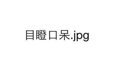 jpg是什么梗？