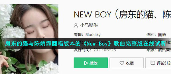 房东的猫与陈婧霏翻唱版本的《New Boy》歌曲完整版在线试听入口
