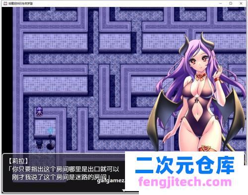 魅魔姐妹的爱梦堕之夜！精翻汉化完结版 CG【新汉化/PC 安卓/600M】 [RPG游戏] 【RPG/御光汉化】