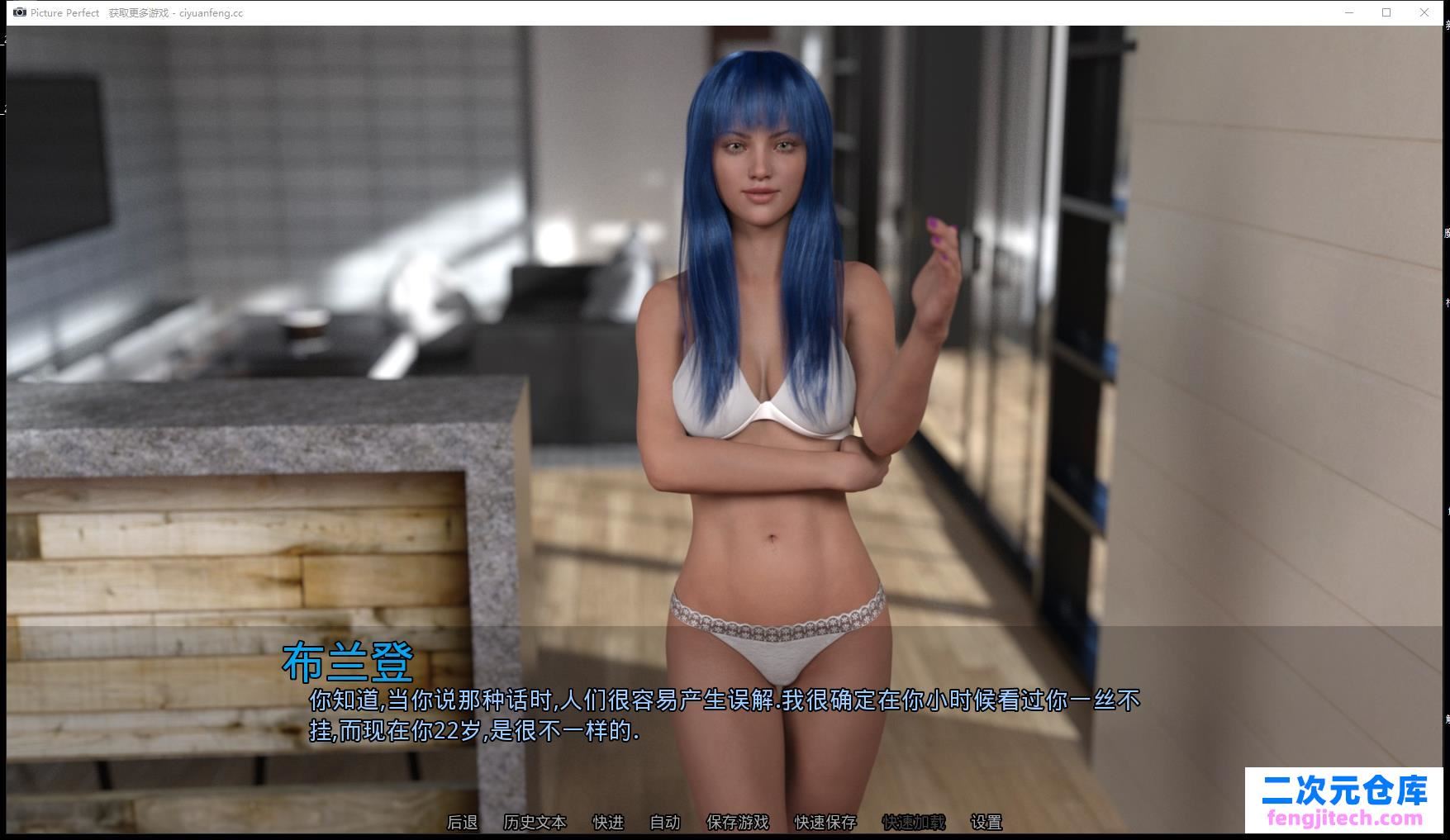 完美照片 Picture Perfect V0.11 PC 安卓漢化版【3.5G/歐美SLG/漢化】