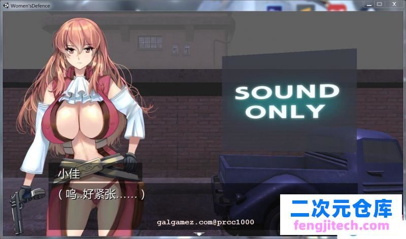 少女防御战线 Ver4.0最终精翻汉化版 全CG存档【3.5G/全CV】[ACT游戏] 【塔防ACT/汉化/全动态】