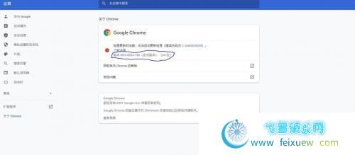 Google Chrome 浏览器 88.0.4324.150.x64 中文绿色便携稳定共存版