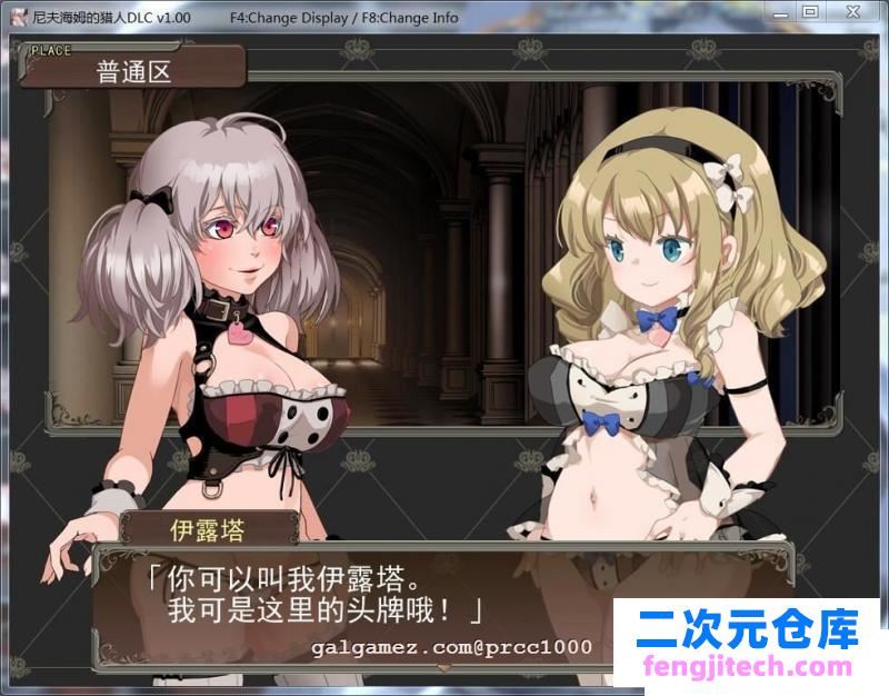 尼夫海姆的猎人：阿瑟尔的烙印！官方中文 DLC 全动画 CG 攻略【1G】 [RPG游戏] 【RPG/中文/步兵】