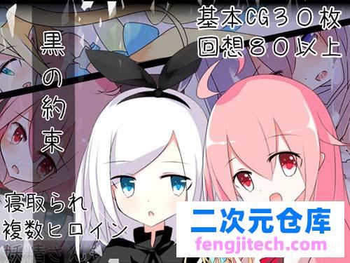 【RPG】黑色的约定 最新汉化版/原版 【Loli】【多汁液】【怀孕】【异种J】【300M】