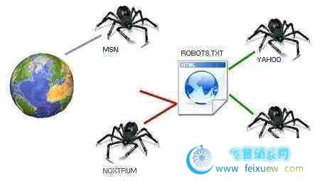 lol辅助网：搜索引擎蜘蛛抓取策略，如何吸引更多蜘蛛