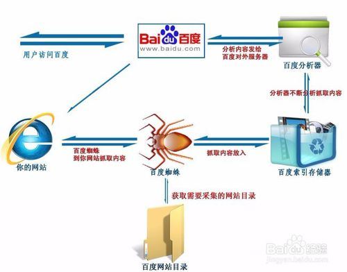 lol辅助网：搜索引擎蜘蛛抓取策略，如何吸引更多蜘蛛