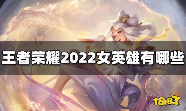 王者荣耀女英雄去内无遮挡无爱心轮滑网无光有实物2020，王者荣耀女英雄有哪些