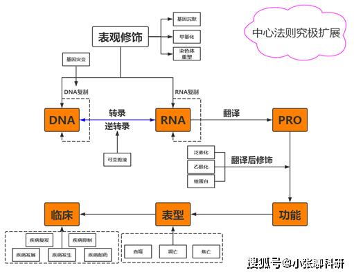 akt大佬资源在哪个平台 akt在哪个平台