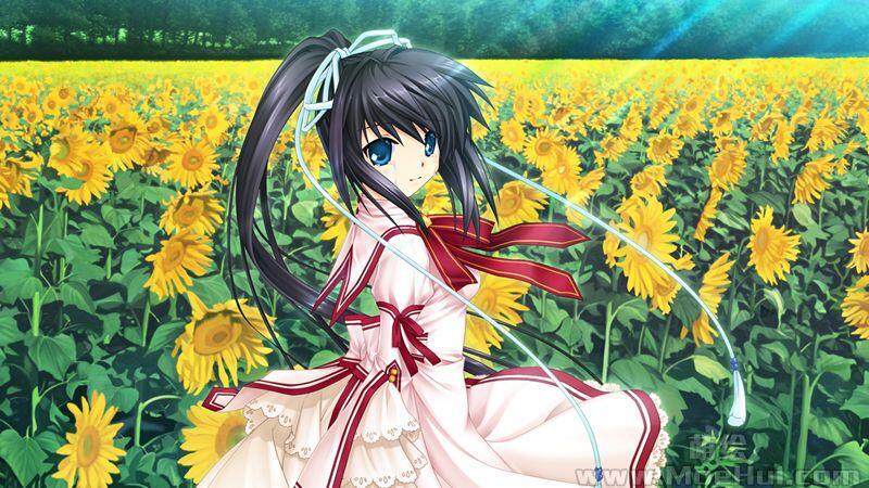 [游戏CG][樋上いたる]Rewrite＋ Rewrite Harvest festa！ 游戏CG