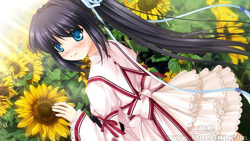 [游戏CG][樋上いたる]Rewrite＋ Rewrite Harvest festa！ 游戏CG