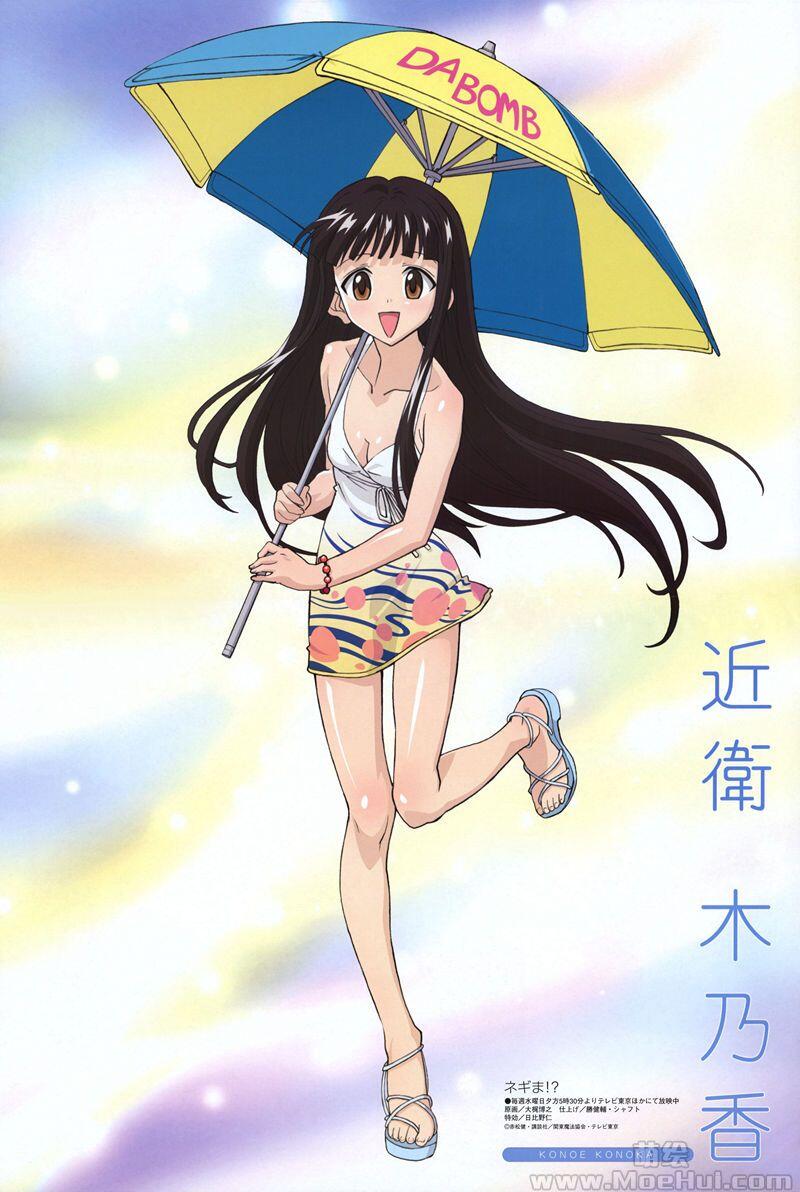 [画集]Megami Magazine 2007 插图包