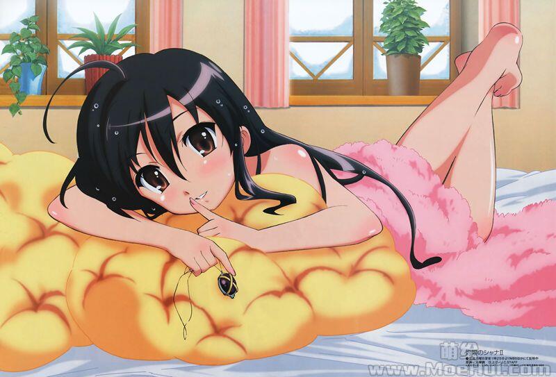 [画集]Megami Magazine 2008 插图包