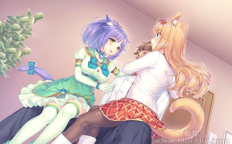 [游戏CG][さより]Neko Para Vol. 4 精选CG