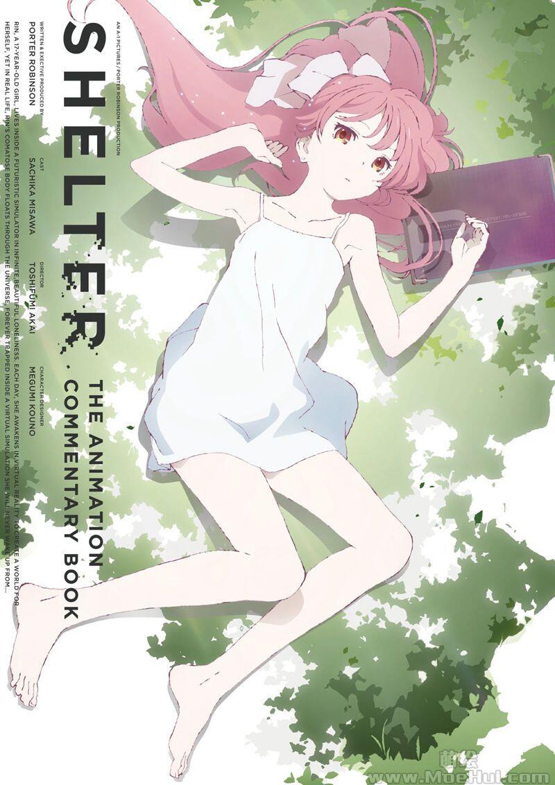 [画集][河野恵美]SHELTER/避难所 THE ANIMATION COMMENTARY BOOK