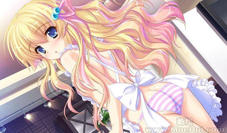 [游戏CG][金目鯛ぴんく]姫様限定！～Princess Limited～ 精选CG